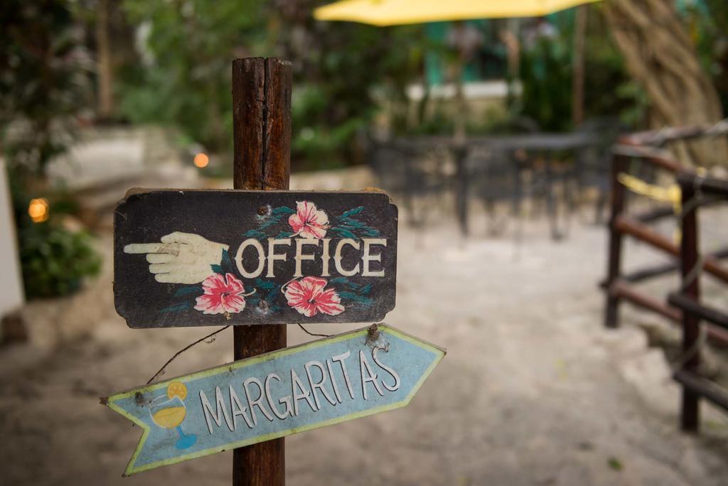 Luna Blue Hotel Playa Del Carmen Zewnętrze zdjęcie